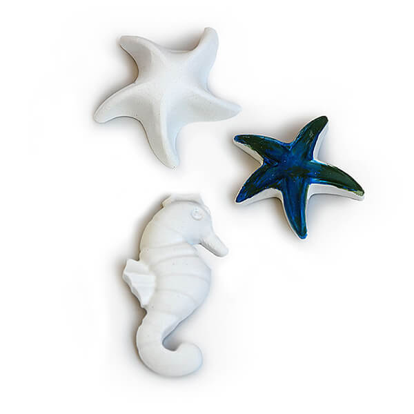 Gessetti a forma di stella marina e cavalluccio marino